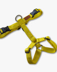 Y-Harness