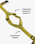 Y-Harness