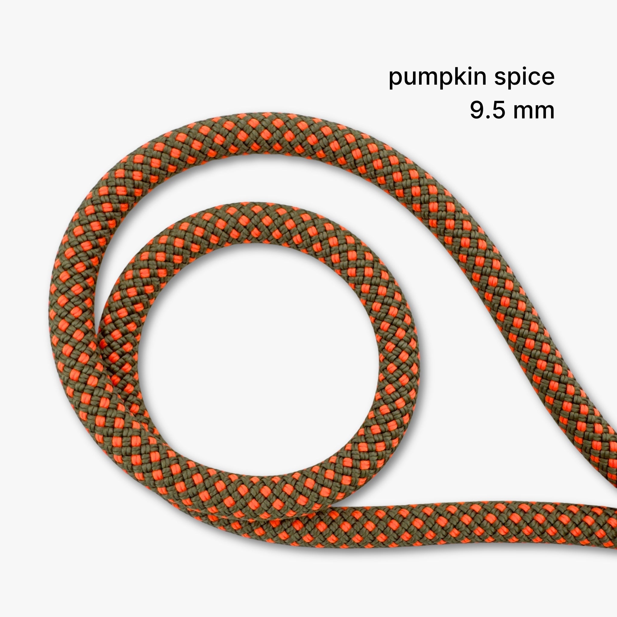 Climbing Rope Convertible Hands-Free Leash with Traffic Handle